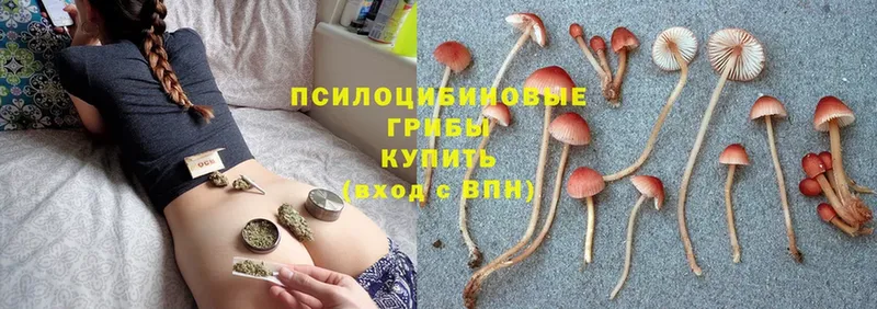 купить закладку  Гуково  Галлюциногенные грибы Magic Shrooms 